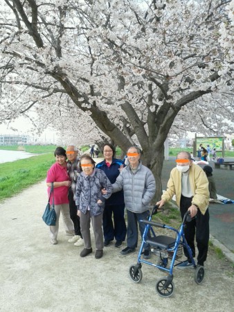 古利根川の遊歩道にてお花見散歩