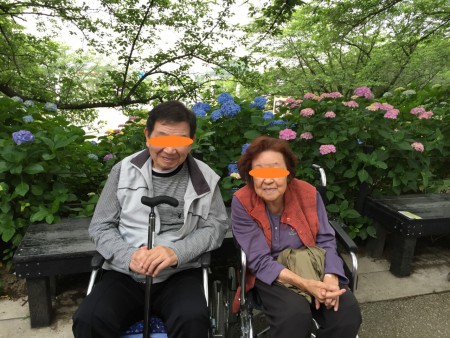 権現堂のあじさいまつり