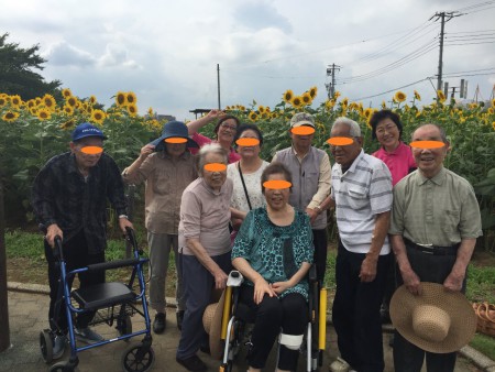 エンゼルドームのひまわり畑にて